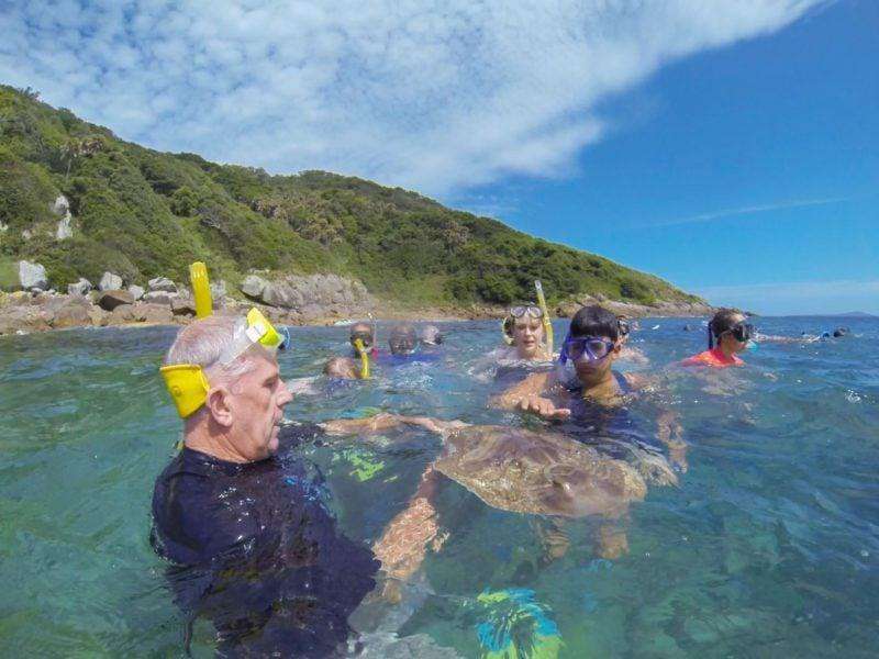 Broughton Island: A Hidden NSW Coastal Wonderland of Wildlife, History and Adventure
