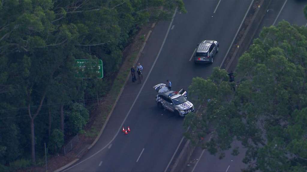 Woman Fighting for Life After Car Crashes Into Tree on Sunshine Coast - Palmwoods, QLD
