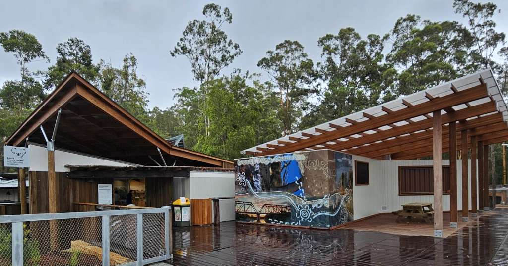 Port Macquarie Koala Hospital Data Reveals New Hope for Australia's Iconic Species