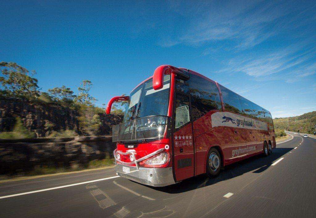 Greyhound Australia to relaunch New England Highway service after nearly a decade