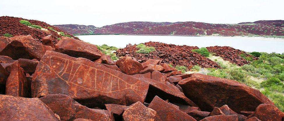Landmark Federal Court case challenges approval of North West Shelf gas project extension