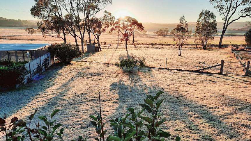 Frost warning issued for southern and central Queensland as temperatures plunge