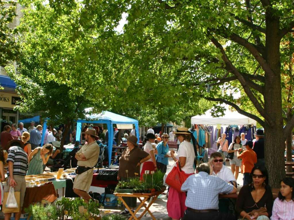 Armidale community celebrates multicultural growth and regional diversity