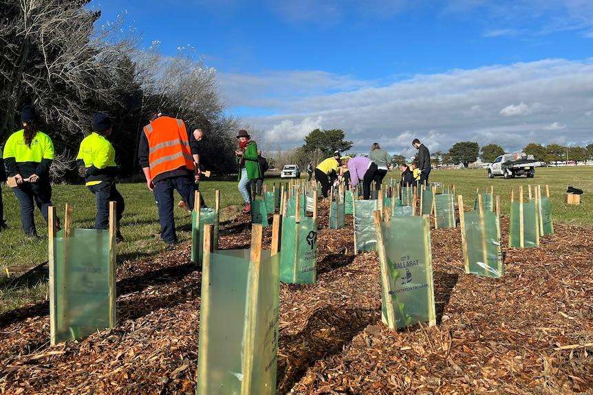 Ballarat launches first Biodiversity Week with more than 40 community events