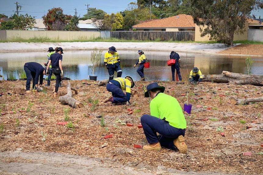 Gosnells Food Waste Recycling Program Faces Major Setback