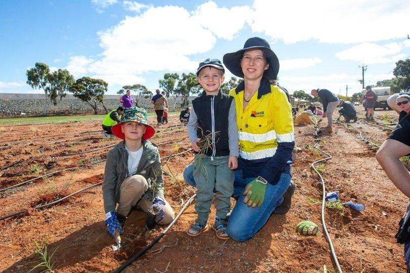 Kalgoorlie-Boulder’s Green Shield Continues Protecting City From Dust Storms