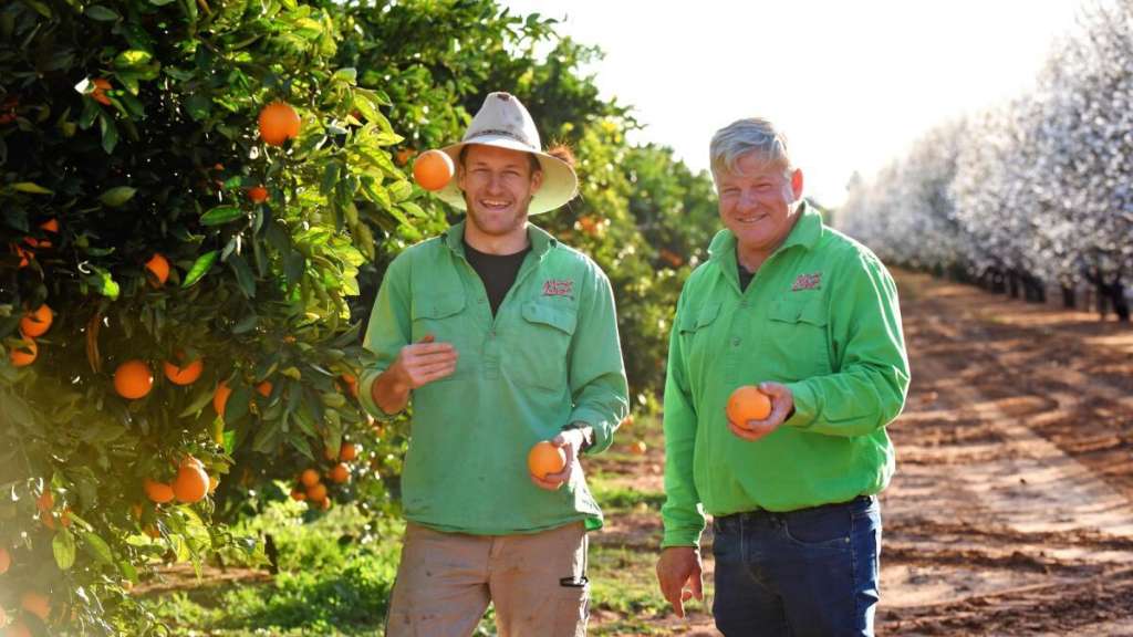 Orange Research Links Pesticide Exposure to Increased Health Risks