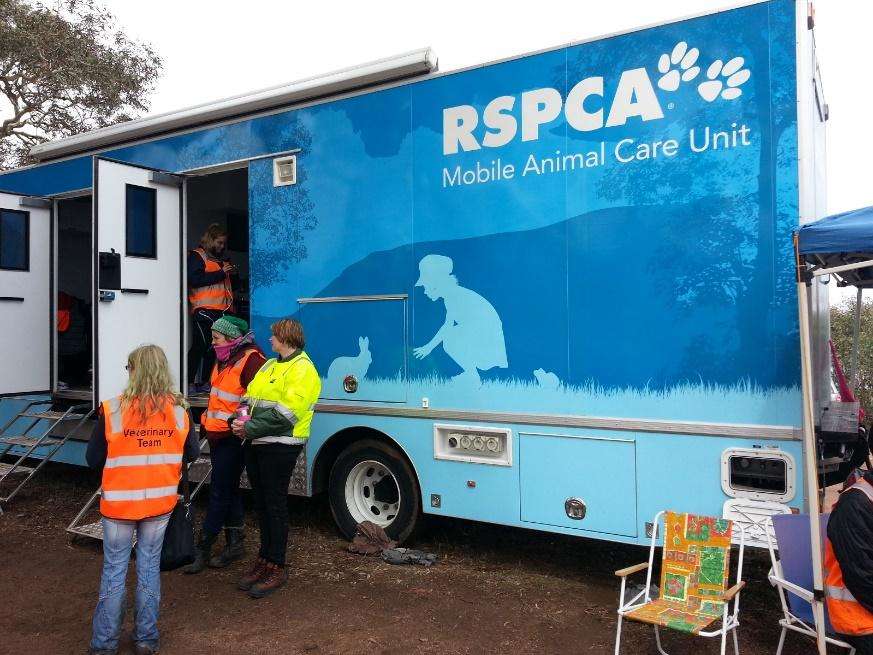 Regional Pet Welfare Program Delivers Free Veterinary Care in Taree