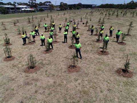 Melbourne’s West Reaches Half-Million Tree Planting Milestone