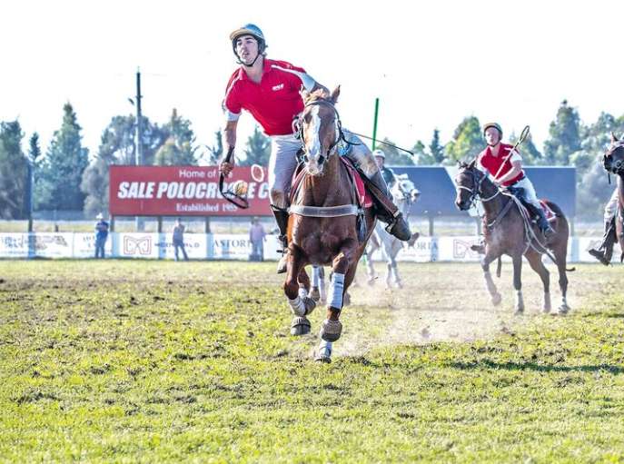 Sale polocrosse star Harry Semmens prepares for international debut