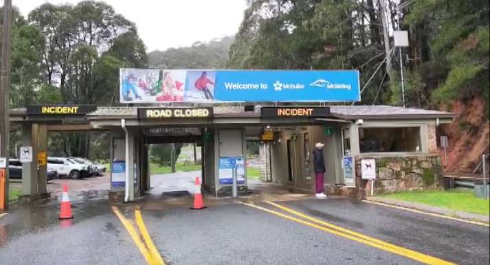 Man dies after tree falls onto car near Mount Buller