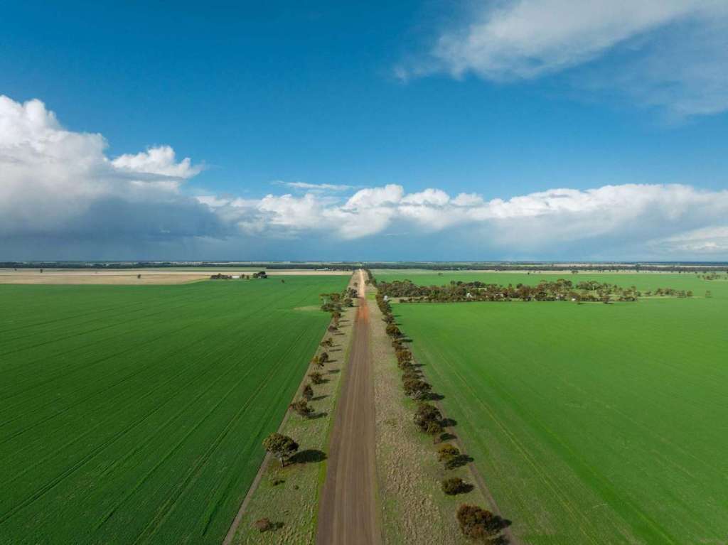 New Working Group to Guide Agricultural Land Restoration After Mineral Sands Mining