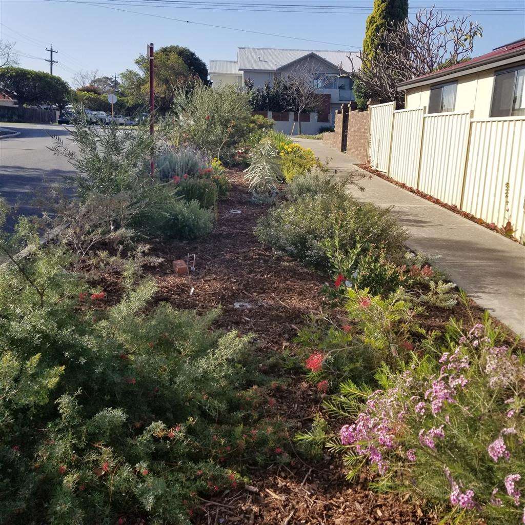 Perth Garden Competition Opens With $500 Prizes