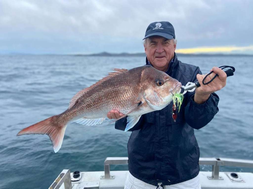 Strong Snapper Fishing Reported Across Port Macquarie Coast