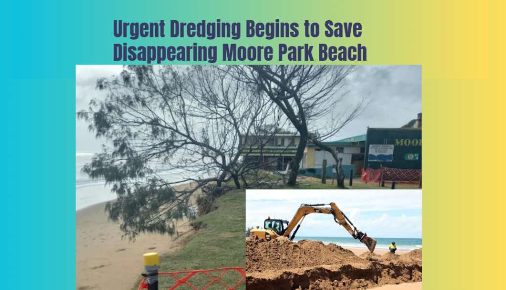 Urgent Dredging Begins to Save Disappearing Moore Park Beach