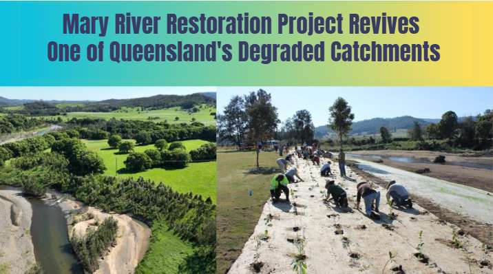 Mary River Restoration Project Revives One of Queensland's Degraded Catchments