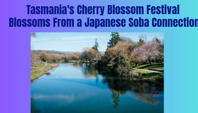 Tasmania's Cherry Blossom Festival Blossoms From a Japanese Soba Connection