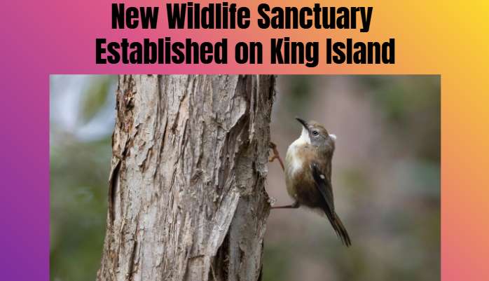 New Wildlife Sanctuary Established on King Island