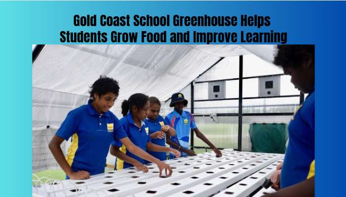 Gold Coast School Greenhouse Helps Students Grow Food and Improve Learning