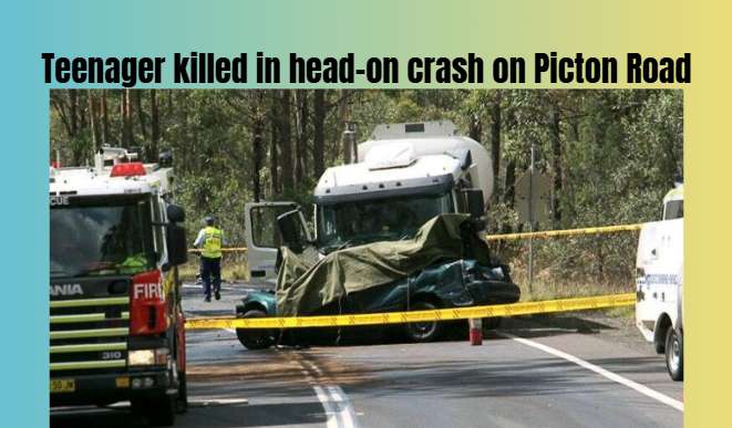 Teenager killed in head-on crash on Picton Road