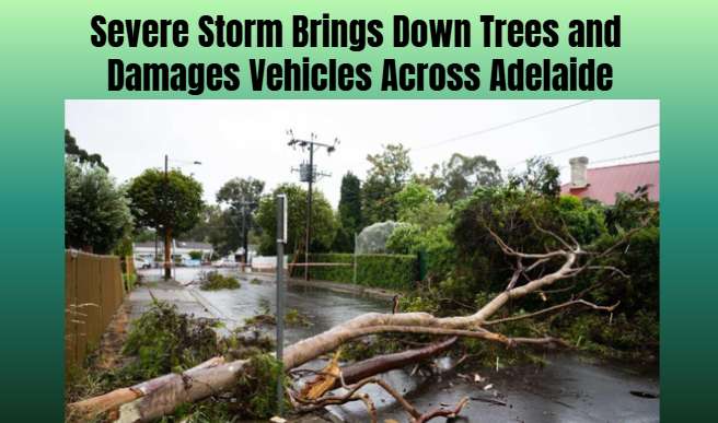 Severe Storm Brings Down Trees and Damages Vehicles Across Adelaide