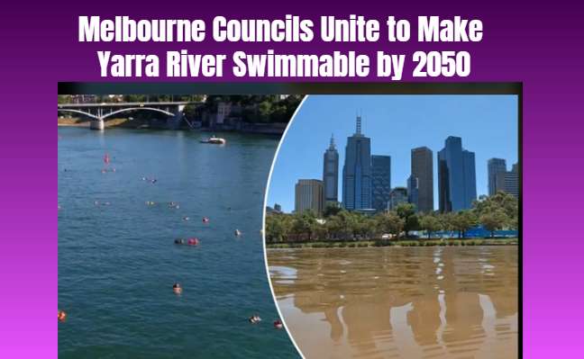 Melbourne Councils Unite to Make Yarra River Swimmable by 2050
