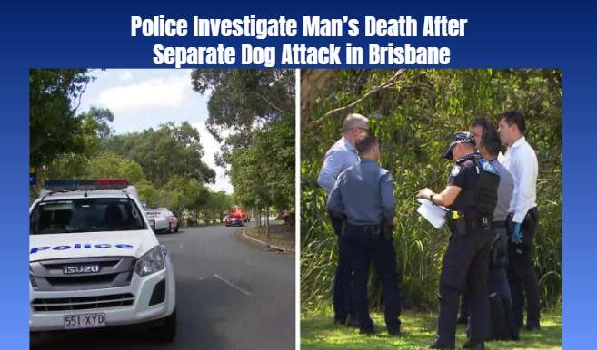 Police Investigate Man’s Death After Separate Dog Attack in Brisbane