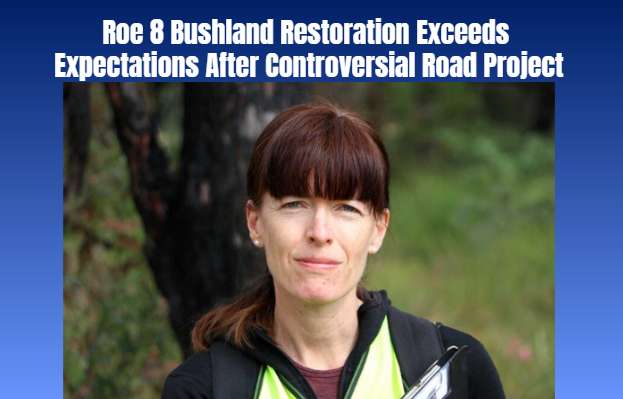 Roe 8 Bushland Restoration Exceeds Expectations After Controversial Road Project
