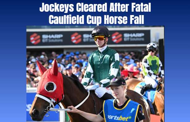 Jockeys Cleared After Fatal Caulfield Cup Horse Fall