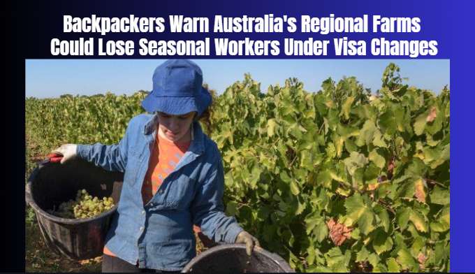 Backpackers Warn Australia's Regional Farms Could Lose Seasonal Workers Under Visa Changes