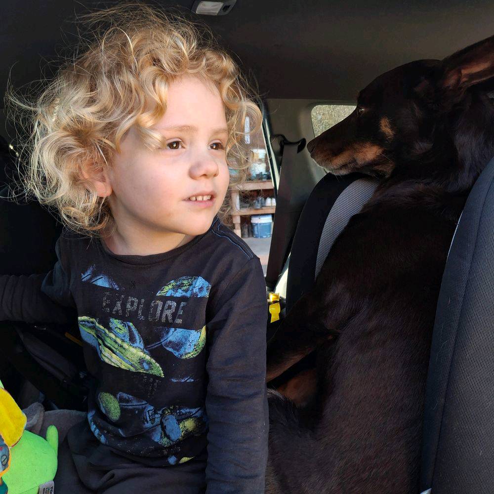 'Our lives have been shattered': Parents of missing four-year-old Gus Lamont speak in public appeal for information