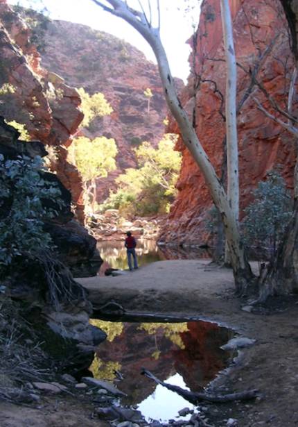 Northern Territory Leads Australia in Tourism Revenue Growth