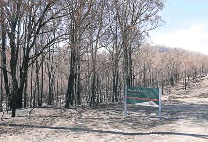 Inquiry Hears Towong Residents as Summer Fires Impact Comes Under Scrutiny