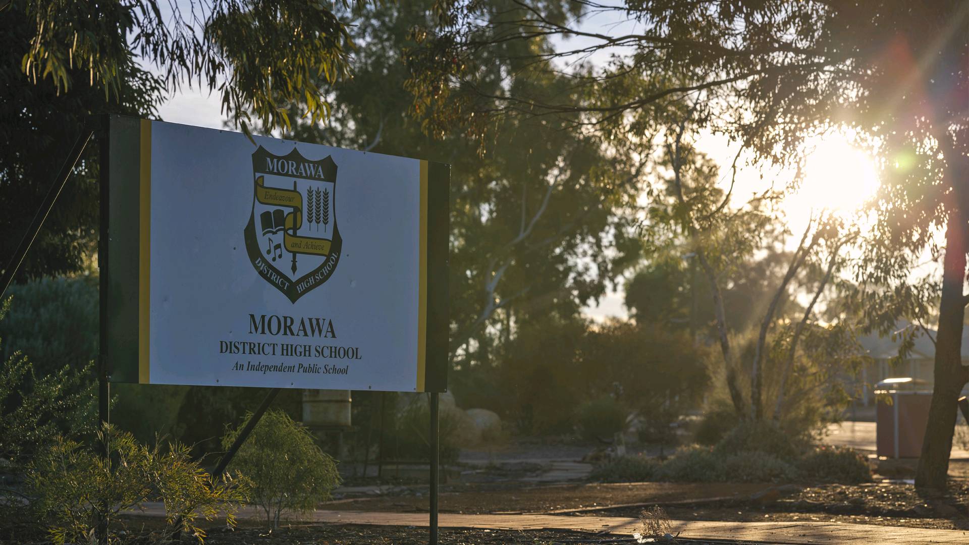 Severe mouse plague overwhelms Morawa in worst infestation on record