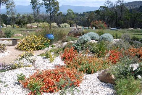 Bus tour to showcase fire wise gardens and bushfire-resilient landscaping