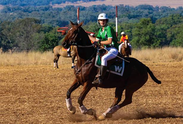 Ramsay local to captain Queensland Polocrosse team Junior polocrosse standout Piper Mortimer will lead Queensland’s mixed junior team at the 2026