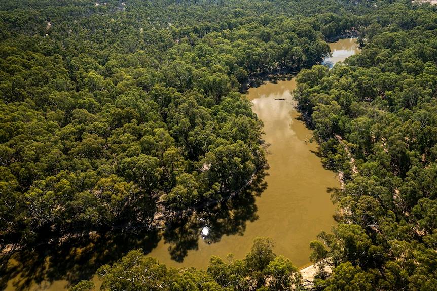 Federal Court dismisses challenge to Nyah flood plain restoration project