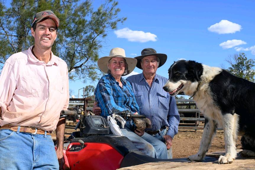 Calls for drought declaration as southern Queensland graziers begin to destock