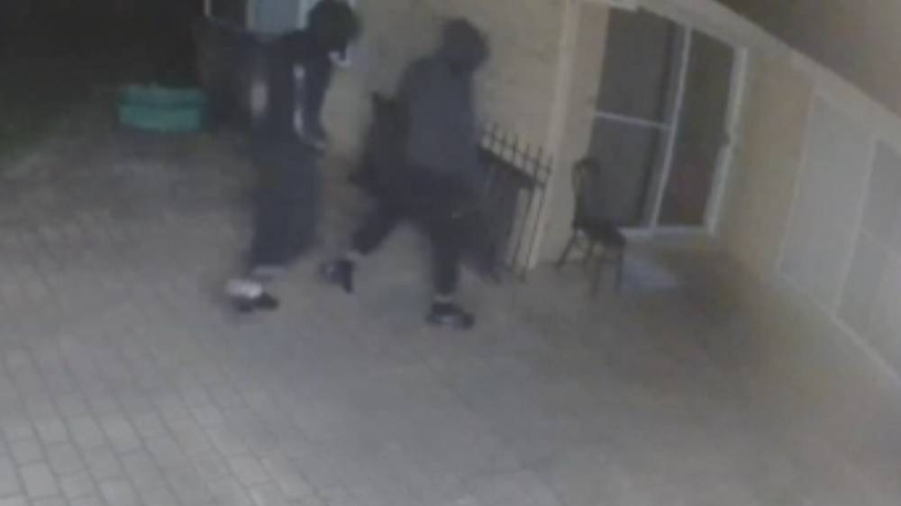 CCTV released after masked men armed with gun and baseball bat storm Central Coast home