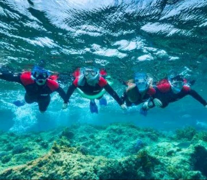 Man dies after shark attack at Horseshoe Reef off Rottnest Island