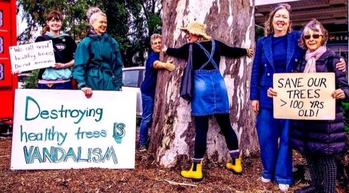 Protest arrests at North Adelaide Golf Course redevelopment site