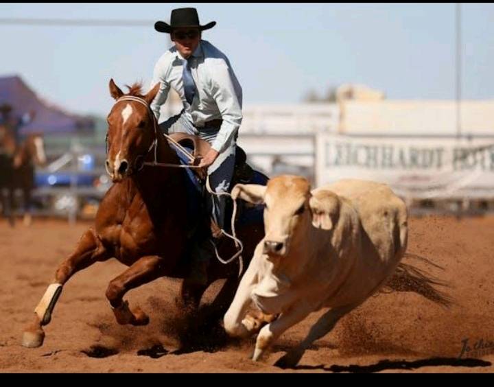 Topar Campdraft Clinic inspires new generation of riders in far western NSW