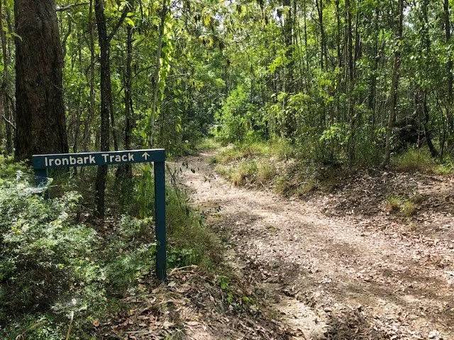 Eumundi Conservation Park offers scenic forest trails and creekside adventures