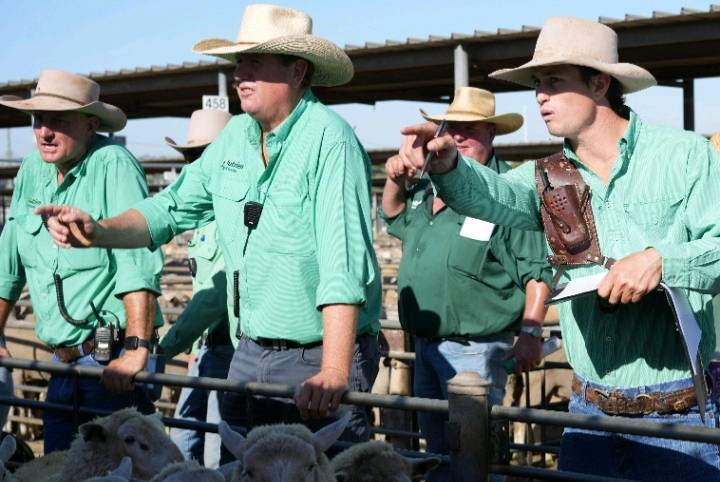 New Cairns Show cattle competition to spotlight Far North Queensland’s best beef