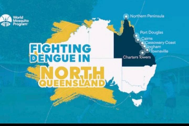 Two Die from Murray Valley Encephalitis in Alice Springs as NT Issues Territory-Wide Health Alert