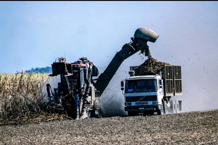 Harvesters Ready to Roll as Growers Brace for Difficult Season