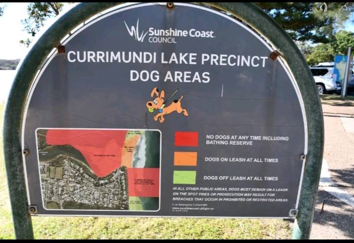 Sunshine Coast Residents Angry Over New Dog Rules at Popular Lake