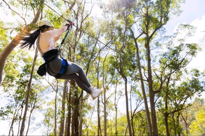 Hinterland Zipline and Surf Park Secure Millions in Queensland Tourism Funding