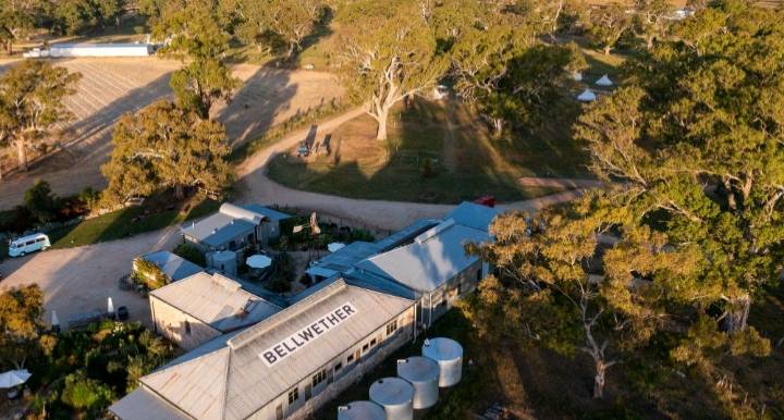 Bellwether Wines in Liquidation as Coonawarra Wine Industry Feels Pressure