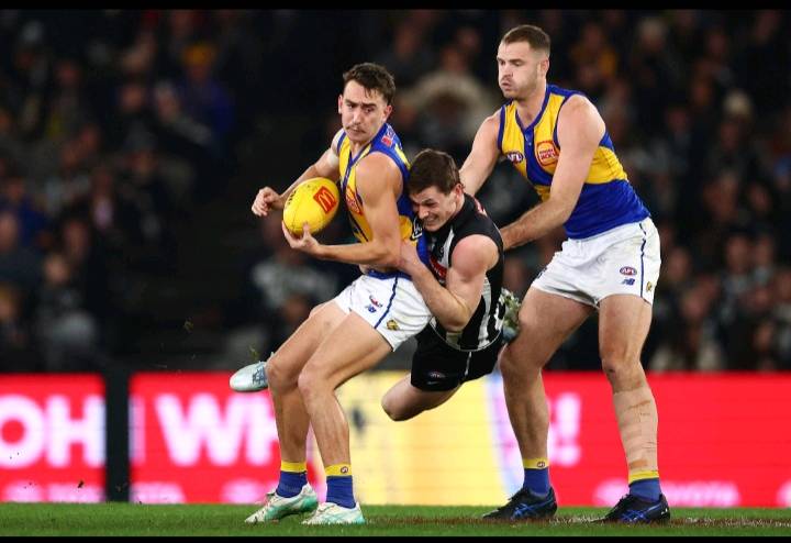 AFL Saturday live: Scott Pendlebury sets new games record as Collingwood, Eagles play at MCG; Sydney test premiership hopes in Geelong